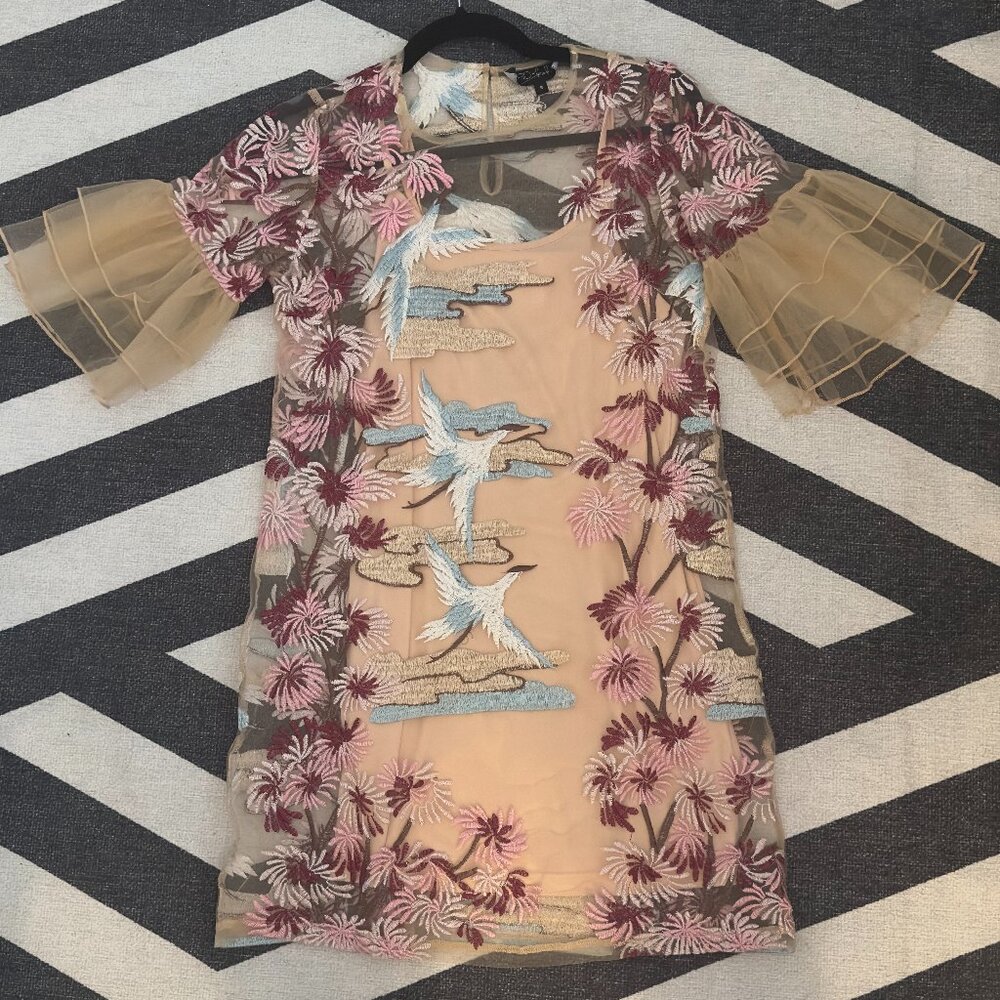 ASOS - Embroidered Dress with Frill Sleeves